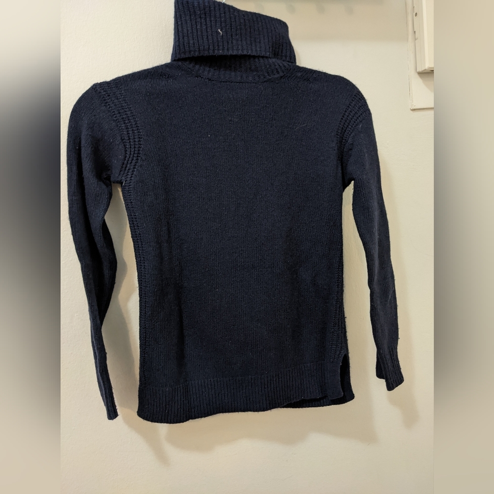 Wool JCrew Turtleneck